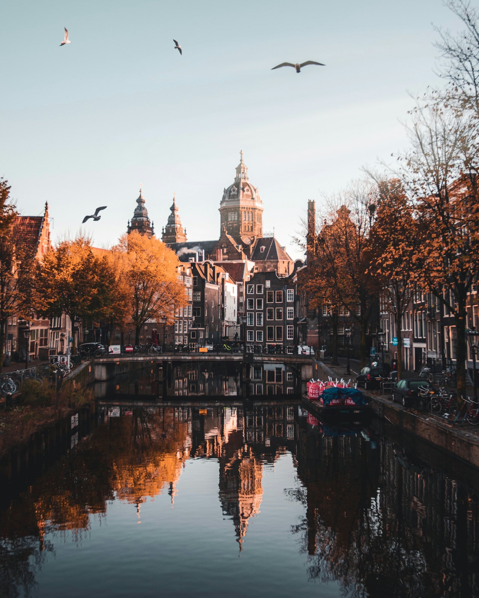 Amsterdam canal with near-perfect still-water reflection of houses, birds overhead