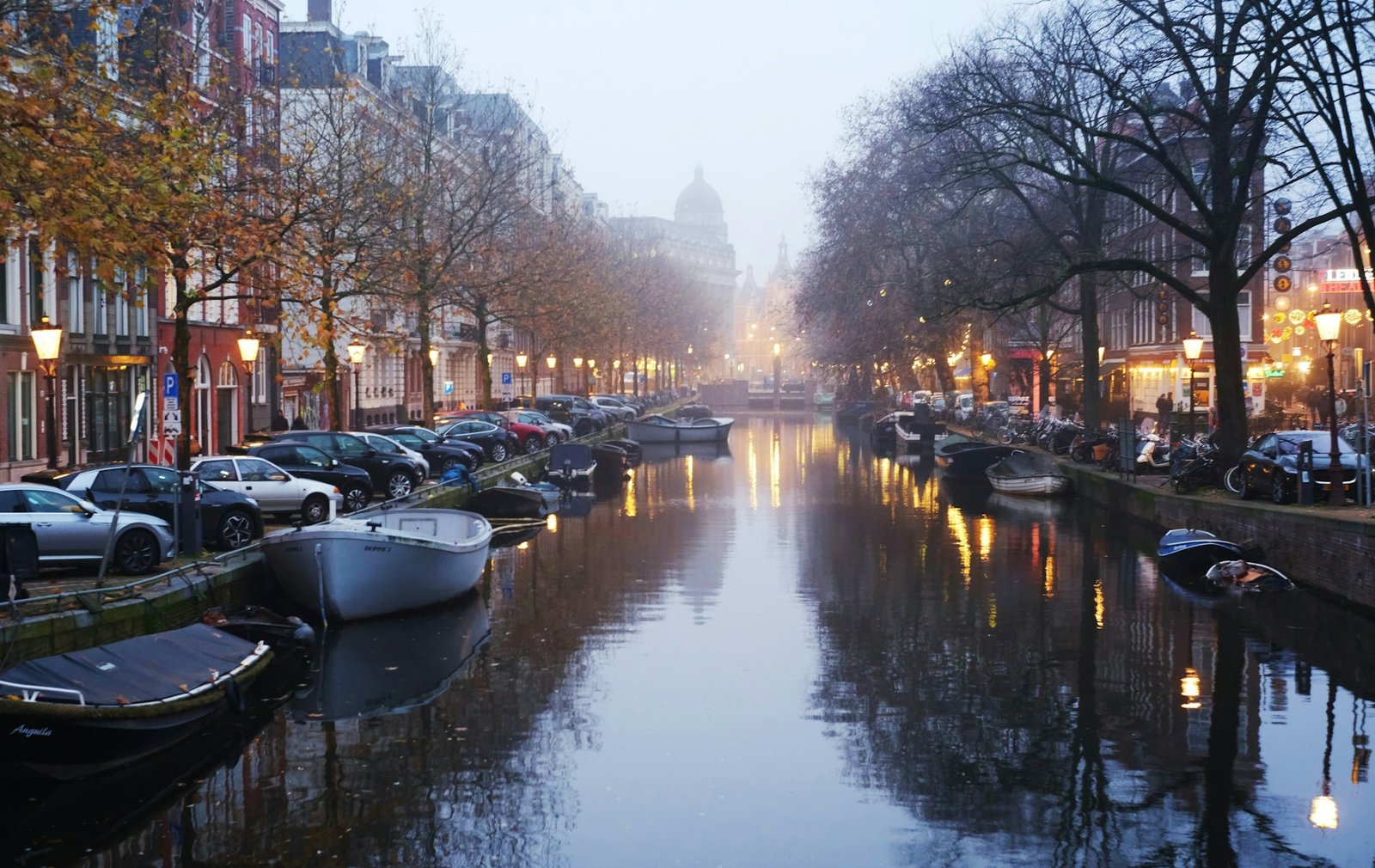 Amsterdam canal in winter, misty soft light, bare trees along the water