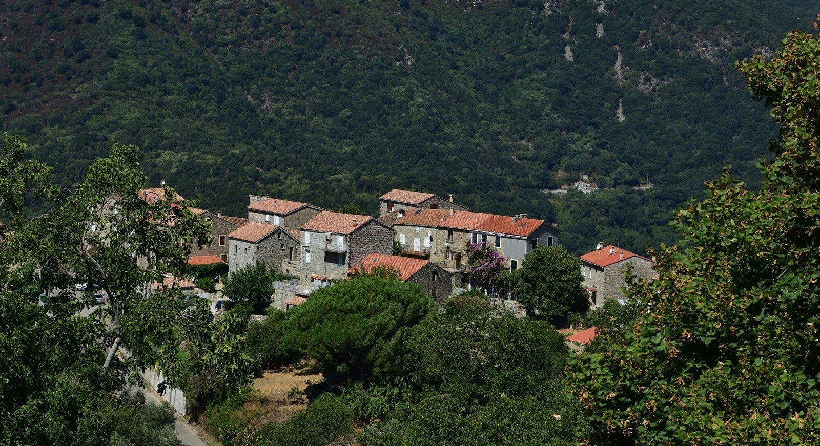 Corsican stone village on a green hillside, no sea visible