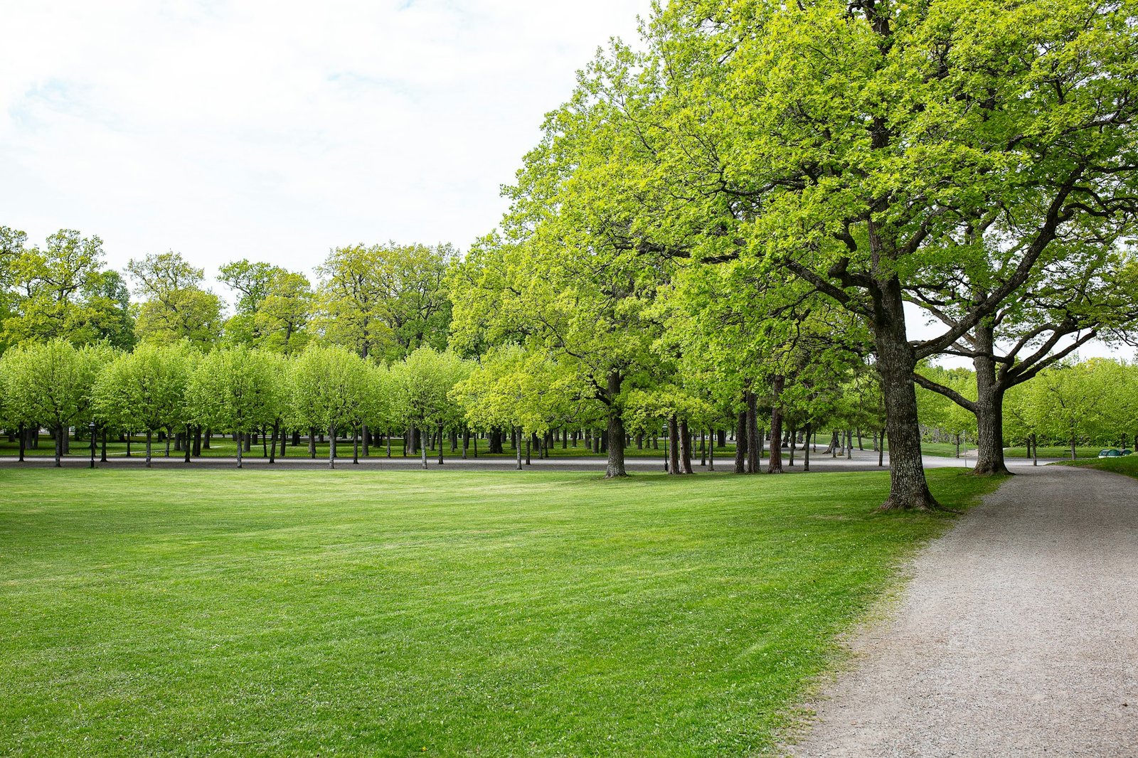 Tree-lined park path near Drottninggatan in central Stockholm, soft natural light