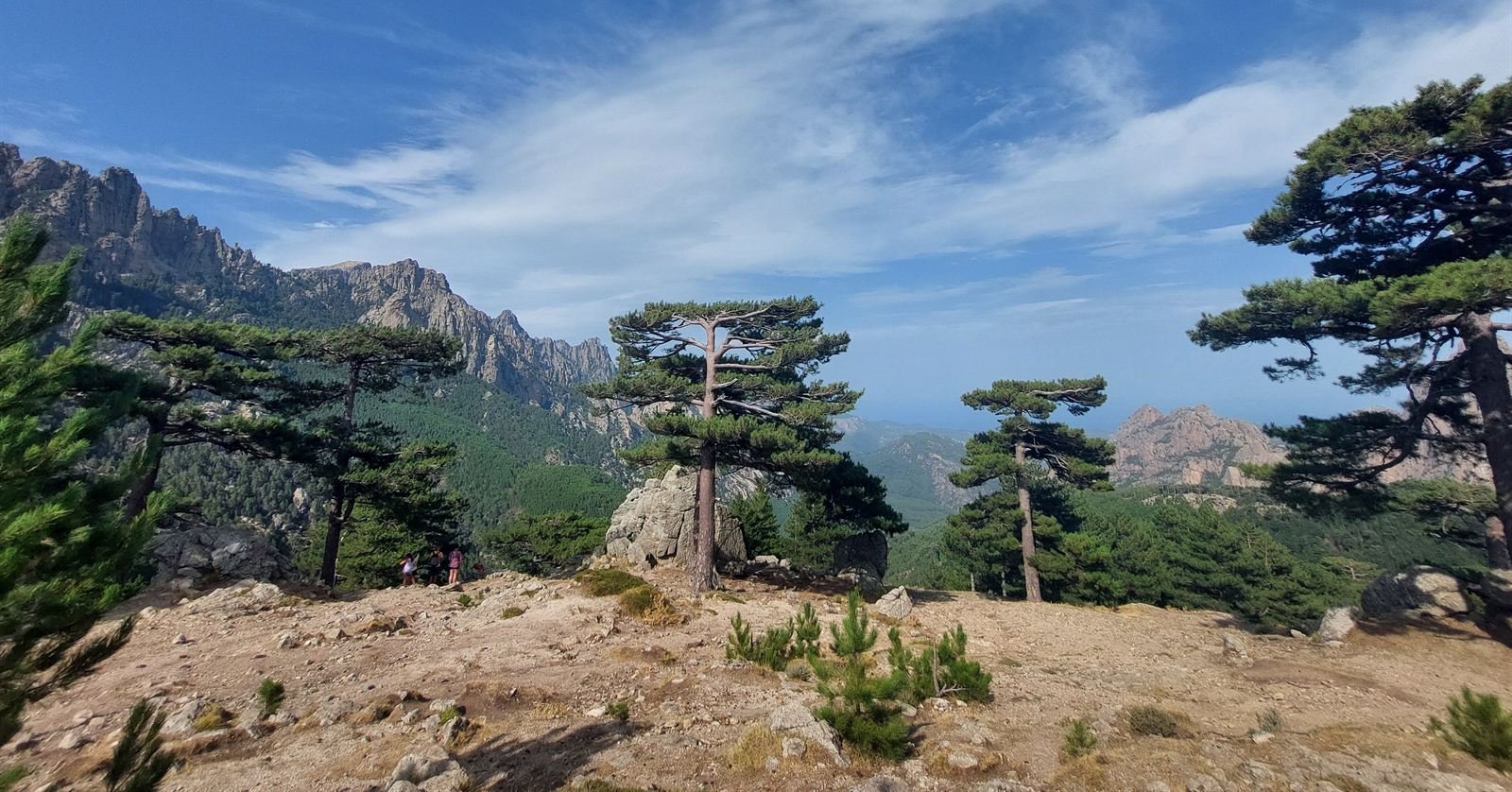 The granite needles of Bavella above laricio pines, with the sea visible in the distance
