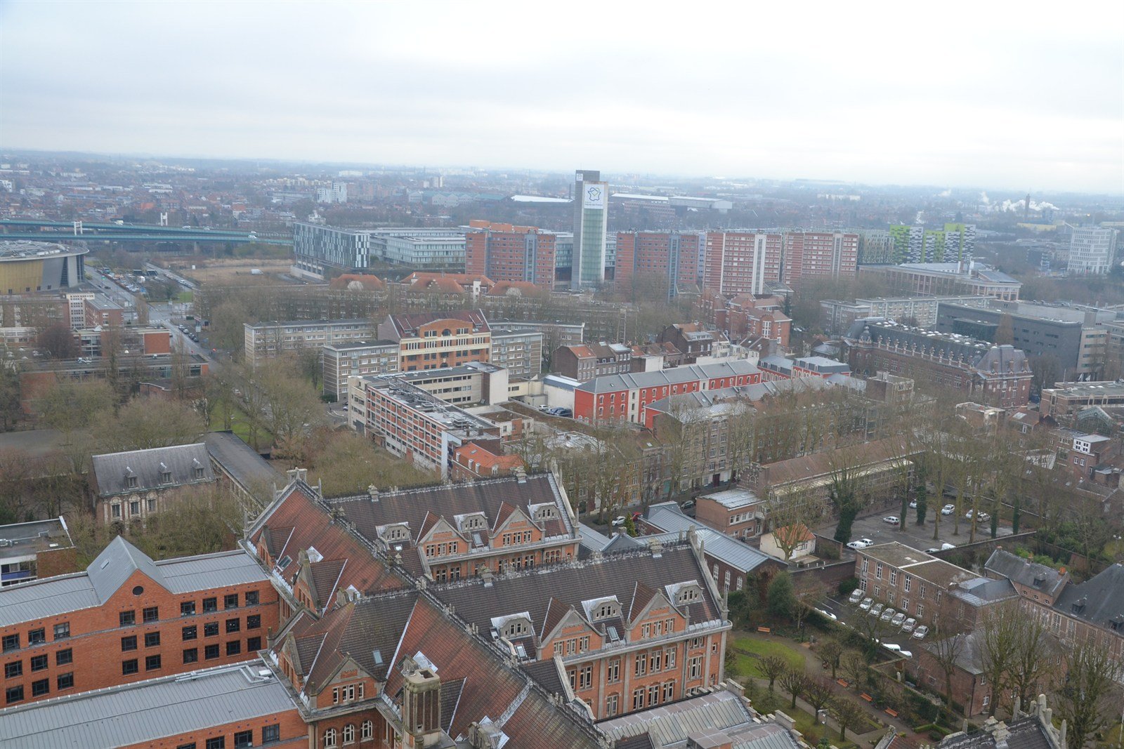A high view over Lille: the slate roofs of the town hall below, then brick housing, tower blocks and a raised road receding into haze under an overcast sky